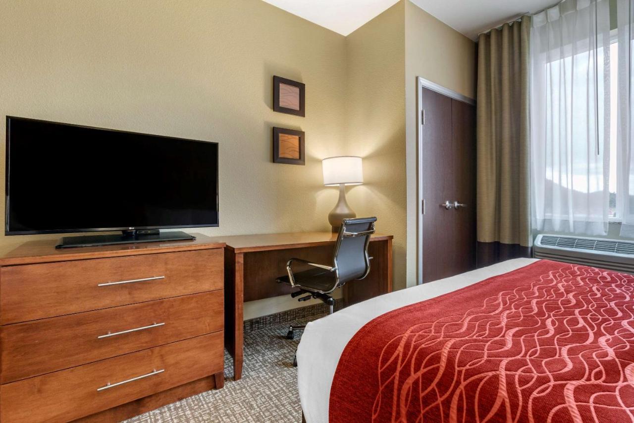 Comfort Inn & Suites Near Mt Rushmore Хилл-Сити Экстерьер фото