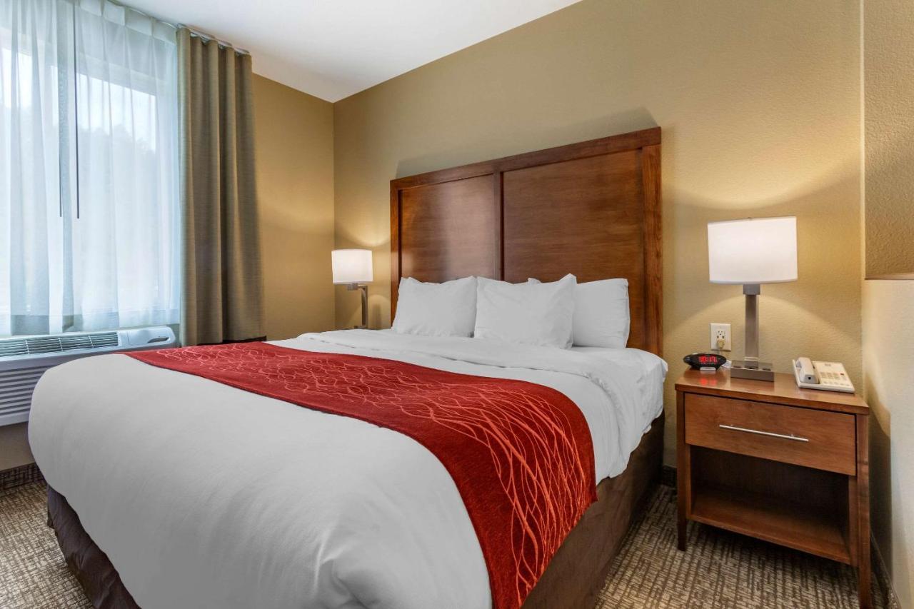 Comfort Inn & Suites Near Mt Rushmore Хилл-Сити Экстерьер фото