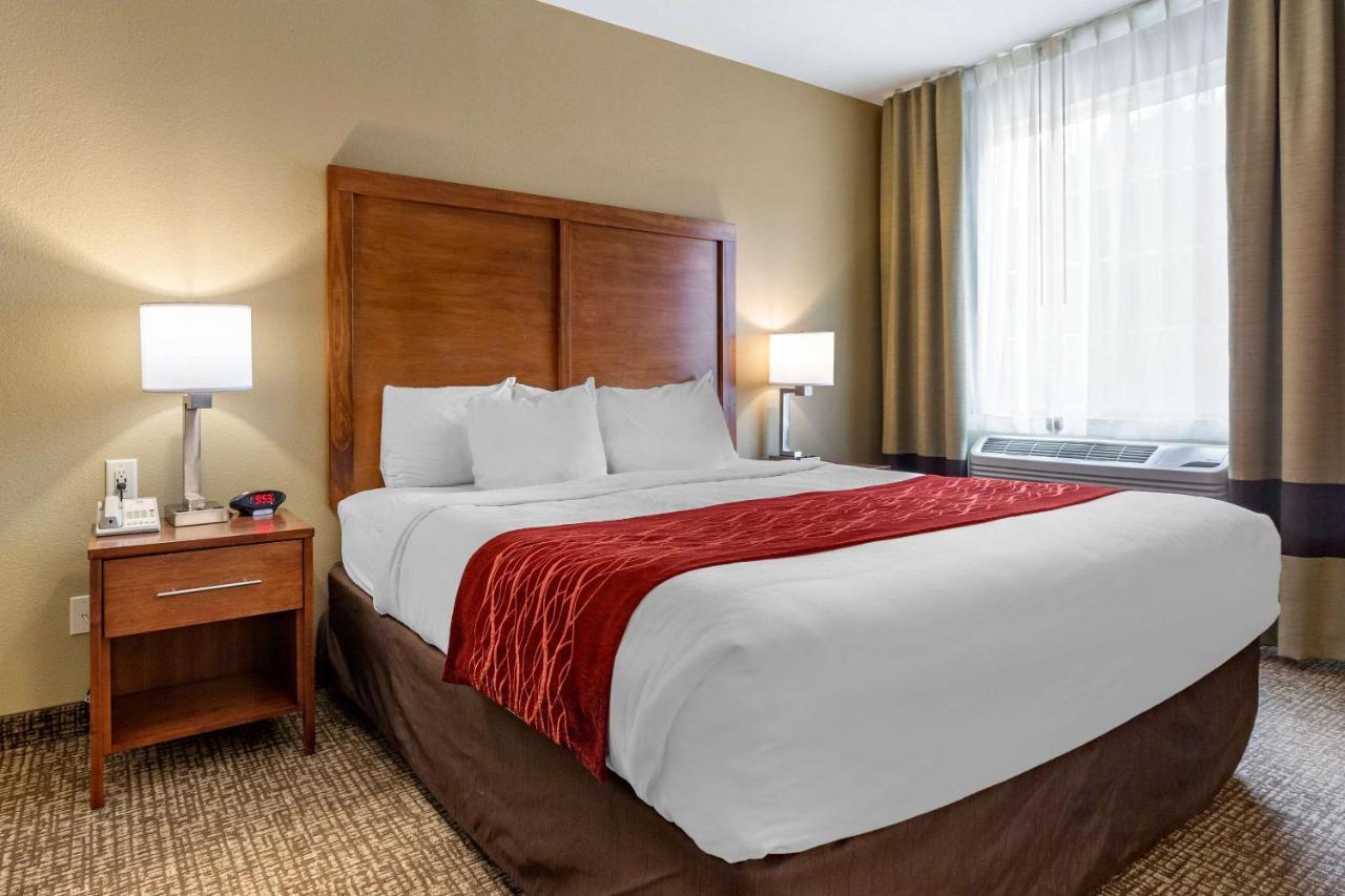 Comfort Inn & Suites Near Mt Rushmore Хилл-Сити Экстерьер фото